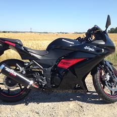 Kawasaki Ninja 250R