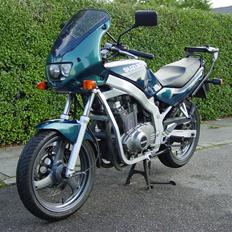 Suzuki GS500E DK/Reinhardt-edition