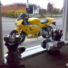 Triumph Daytona 595i AKA Fat Doris *SOLGT*