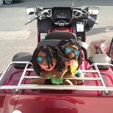 Honda Gl 1200 m/sidevogn