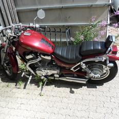 Suzuki Intruder