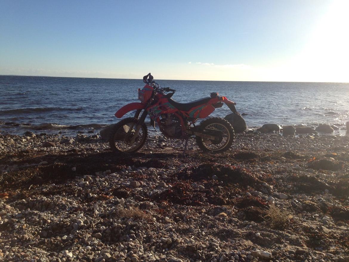 Kawasaki Klx 250 r - Solgt billede 7