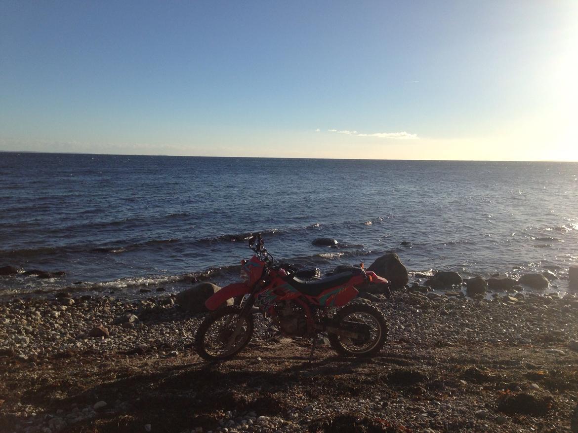 Kawasaki Klx 250 r - Solgt billede 9