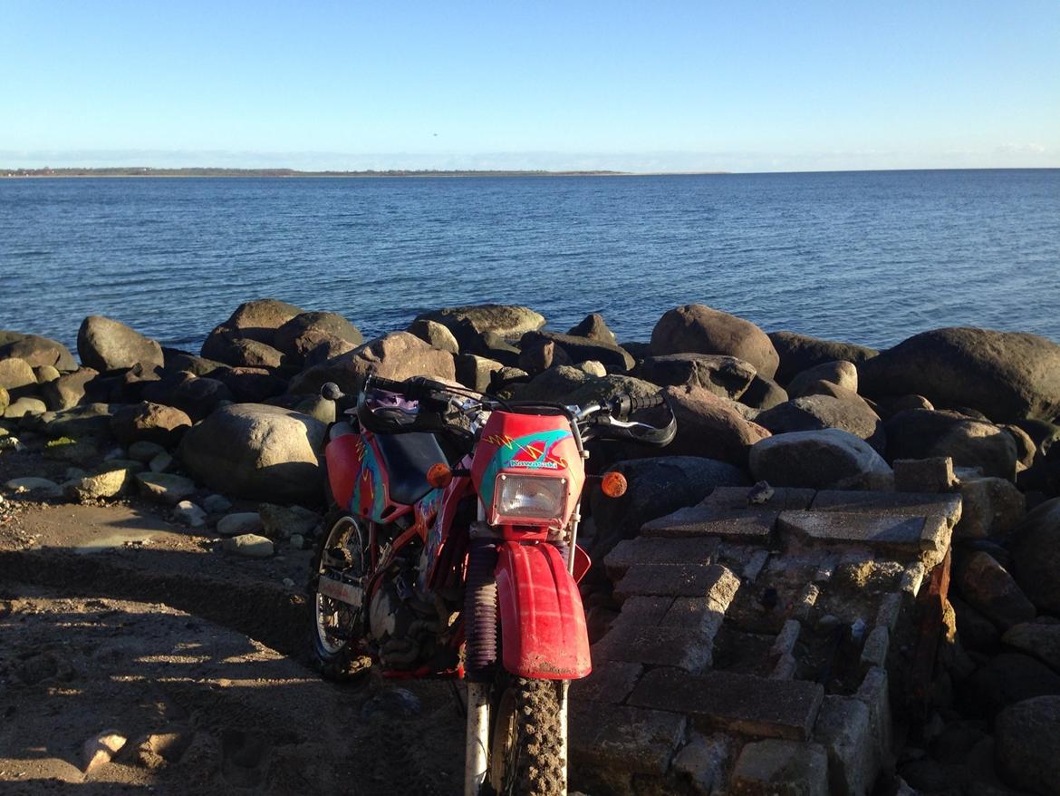 Kawasaki Klx 250 r - Solgt billede 12