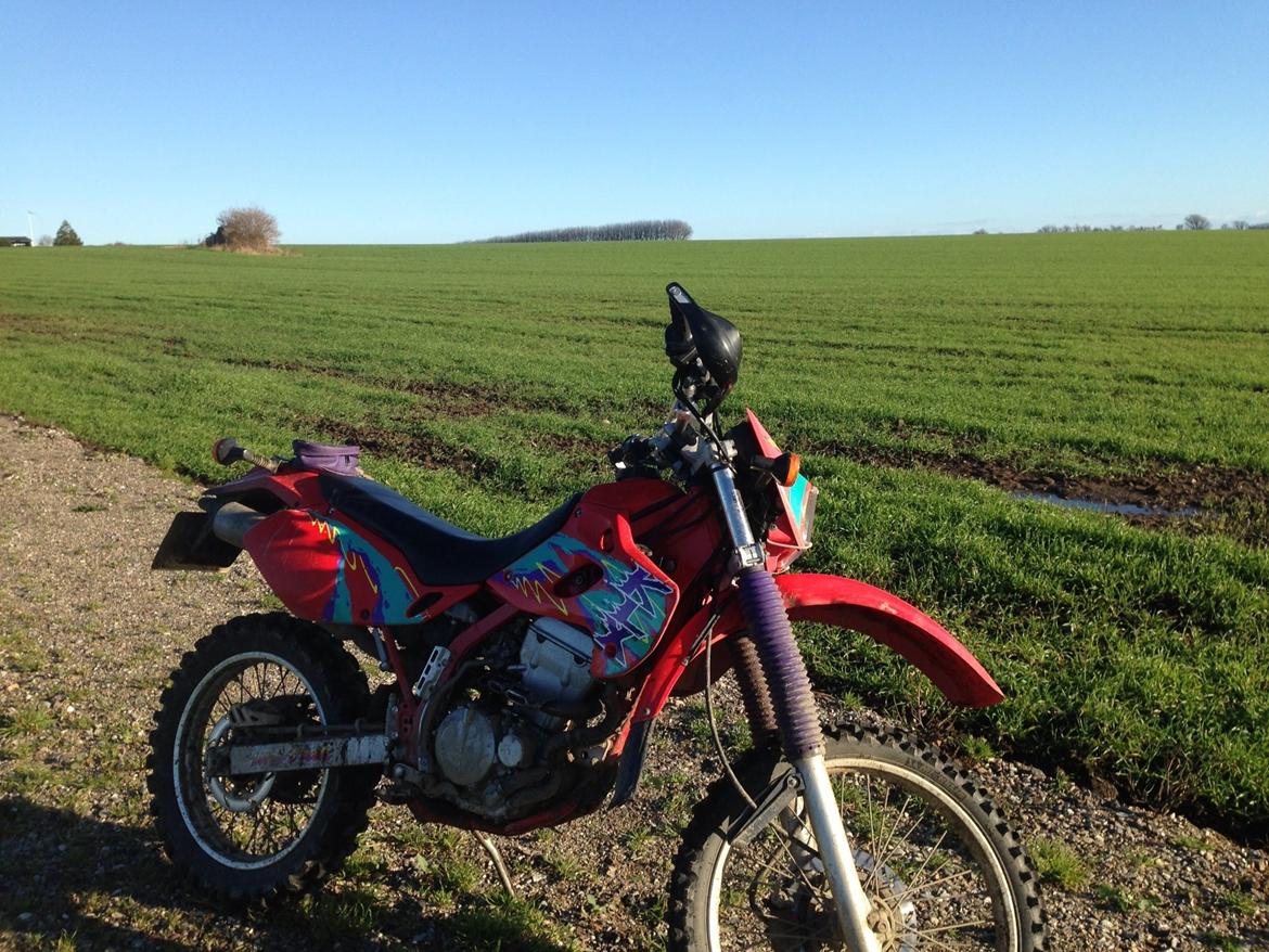 Kawasaki Klx 250 r - Solgt billede 13