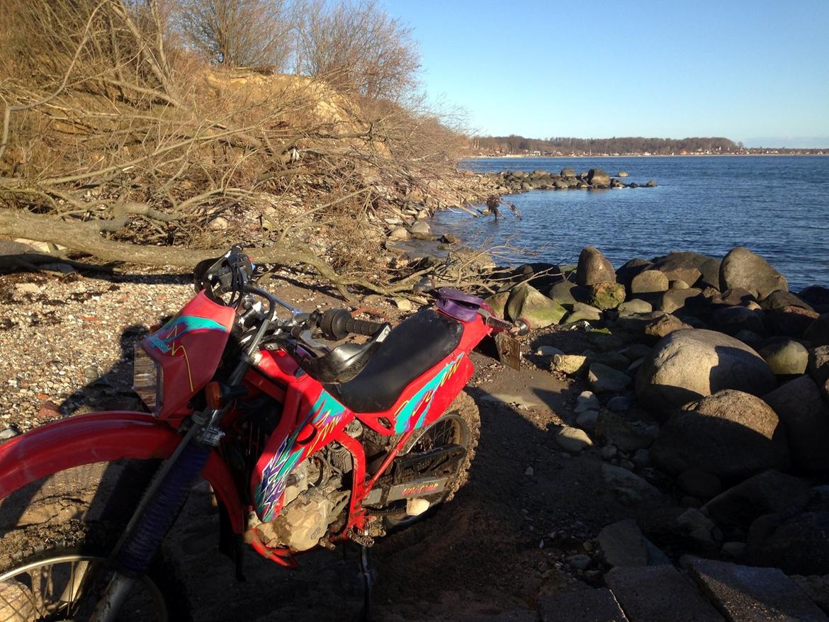 Kawasaki Klx 250 r - Solgt billede 14