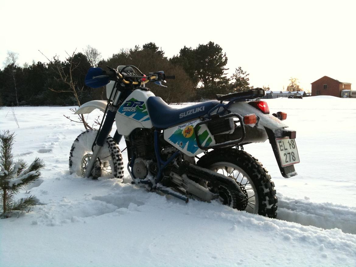 Suzuki DR 350 S billede 2