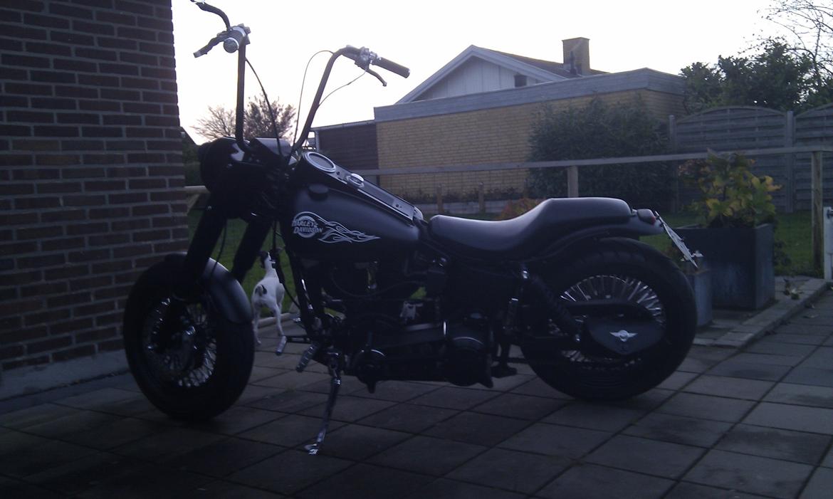 Harley Davidson FLH 1200 Shovelhead billede 1