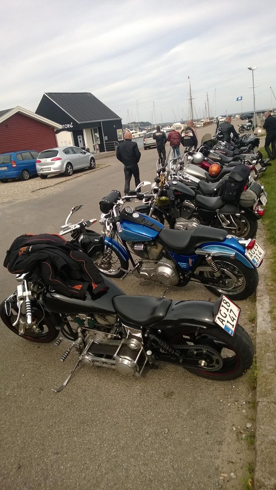 Harley Davidson FX 1200 billede 12