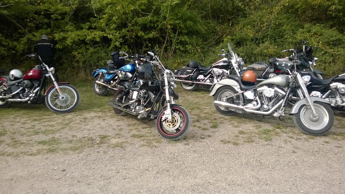 Harley Davidson FX 1200 billede 13