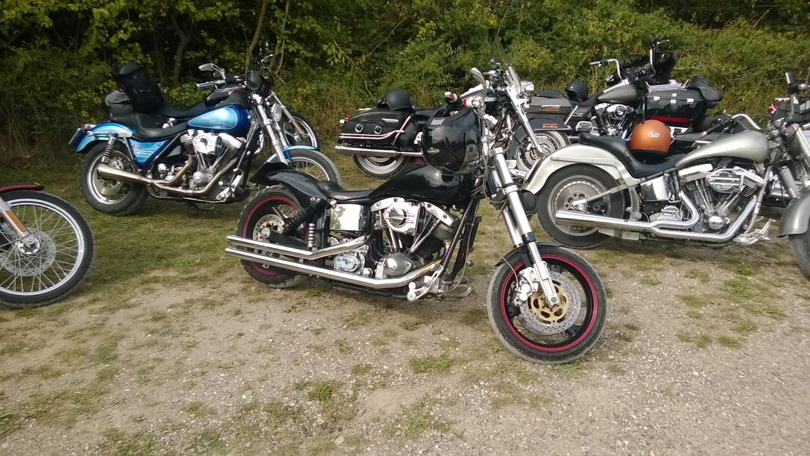 Harley Davidson FX 1200 billede 14