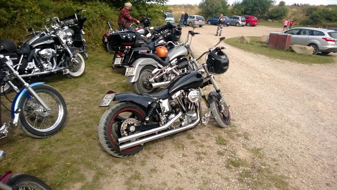 Harley Davidson FX 1200 billede 15