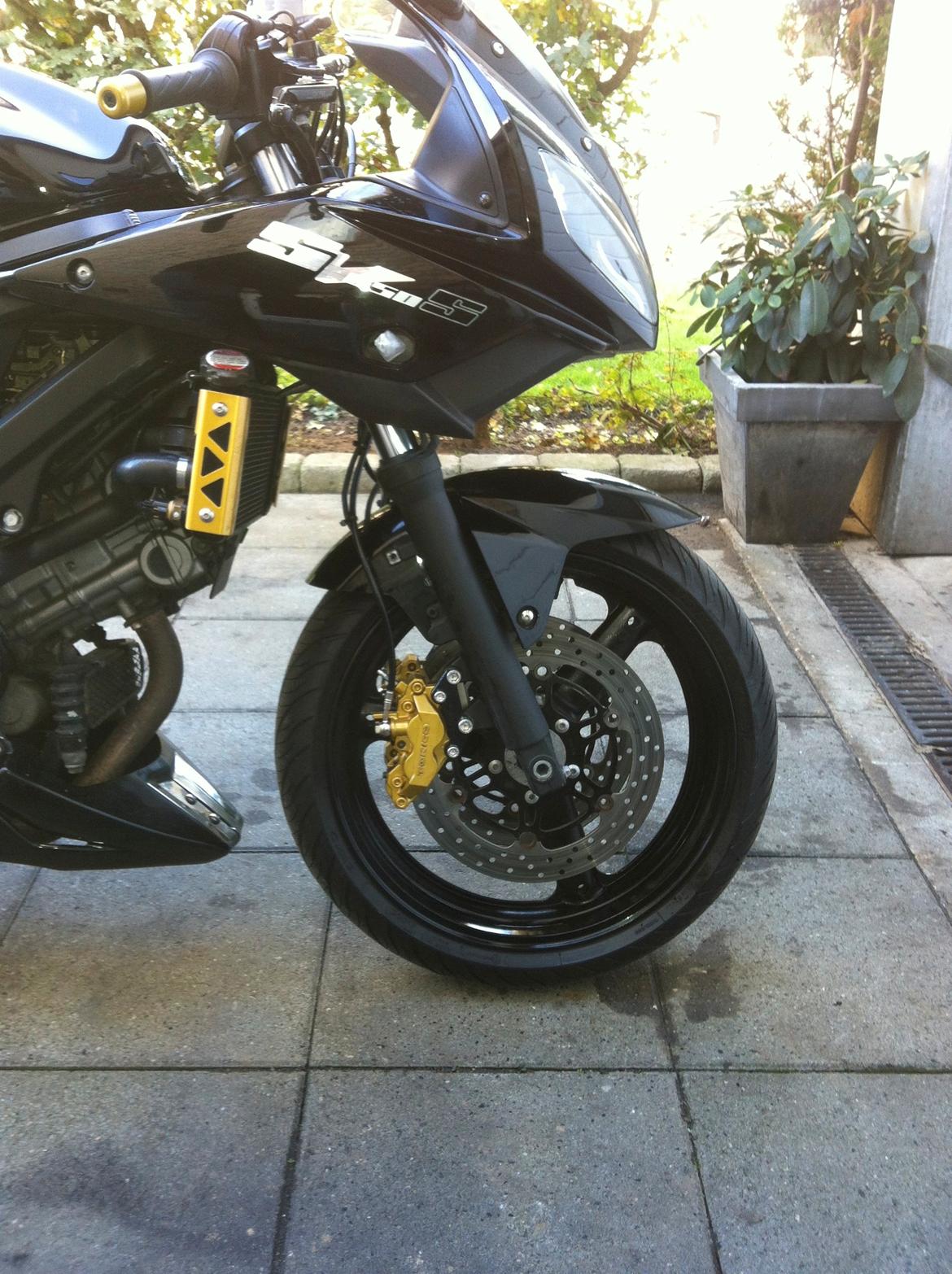 Suzuki SV 650 S billede 8