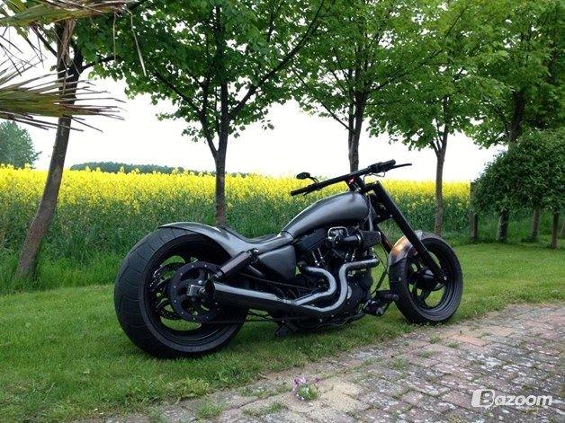 Harley Davidson 883 billede 5