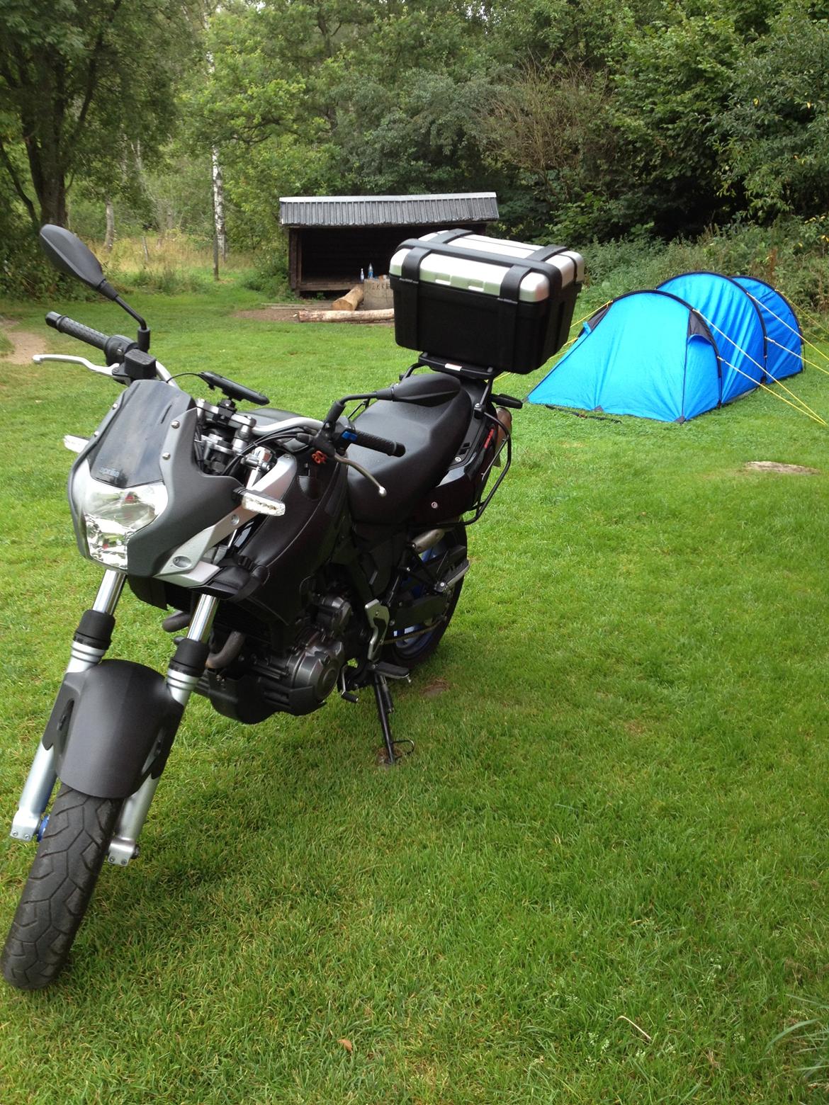 Aprilia Pegaso Strada *Solgt* billede 1