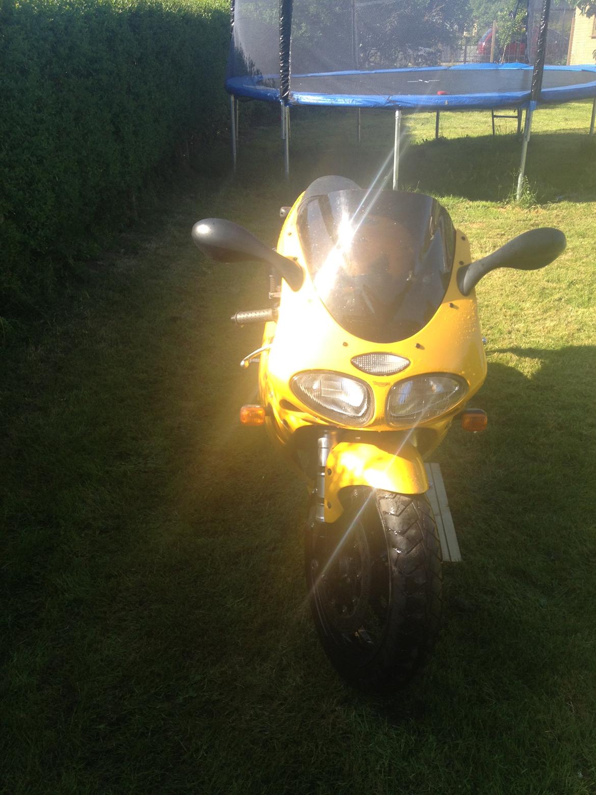 Triumph Daytona 595i AKA Fat Doris *SOLGT* billede 8