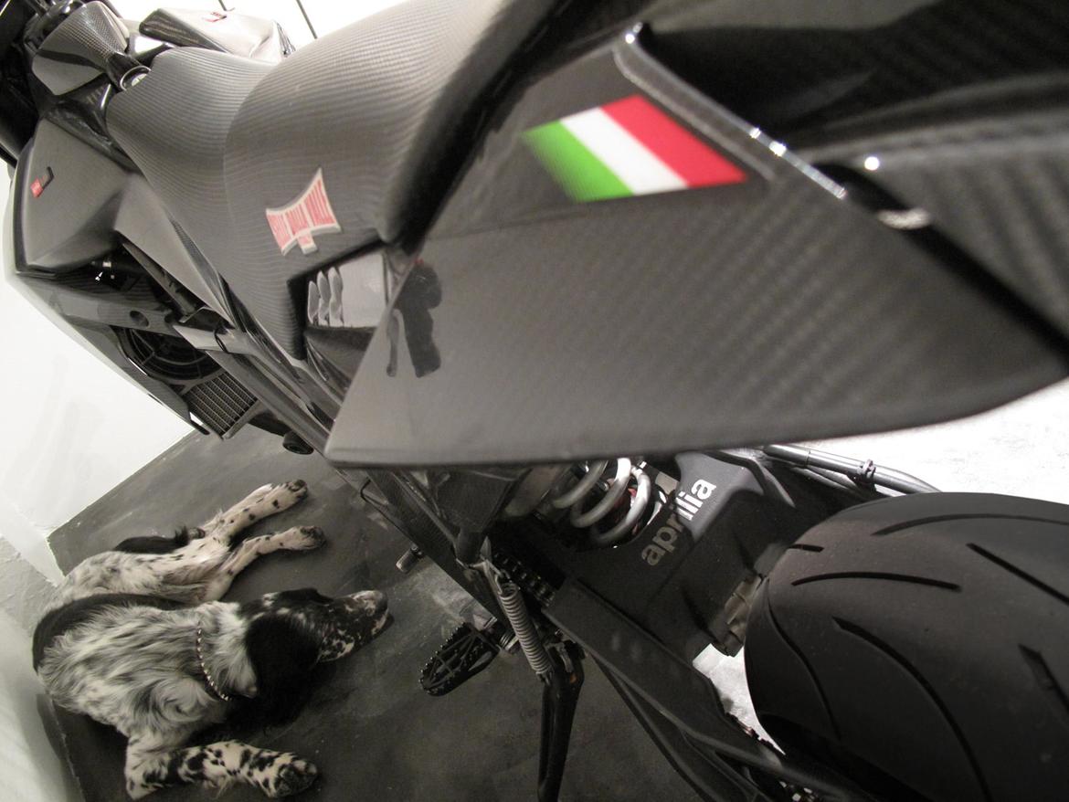 Aprilia SXV 550 - SOLGT billede 3