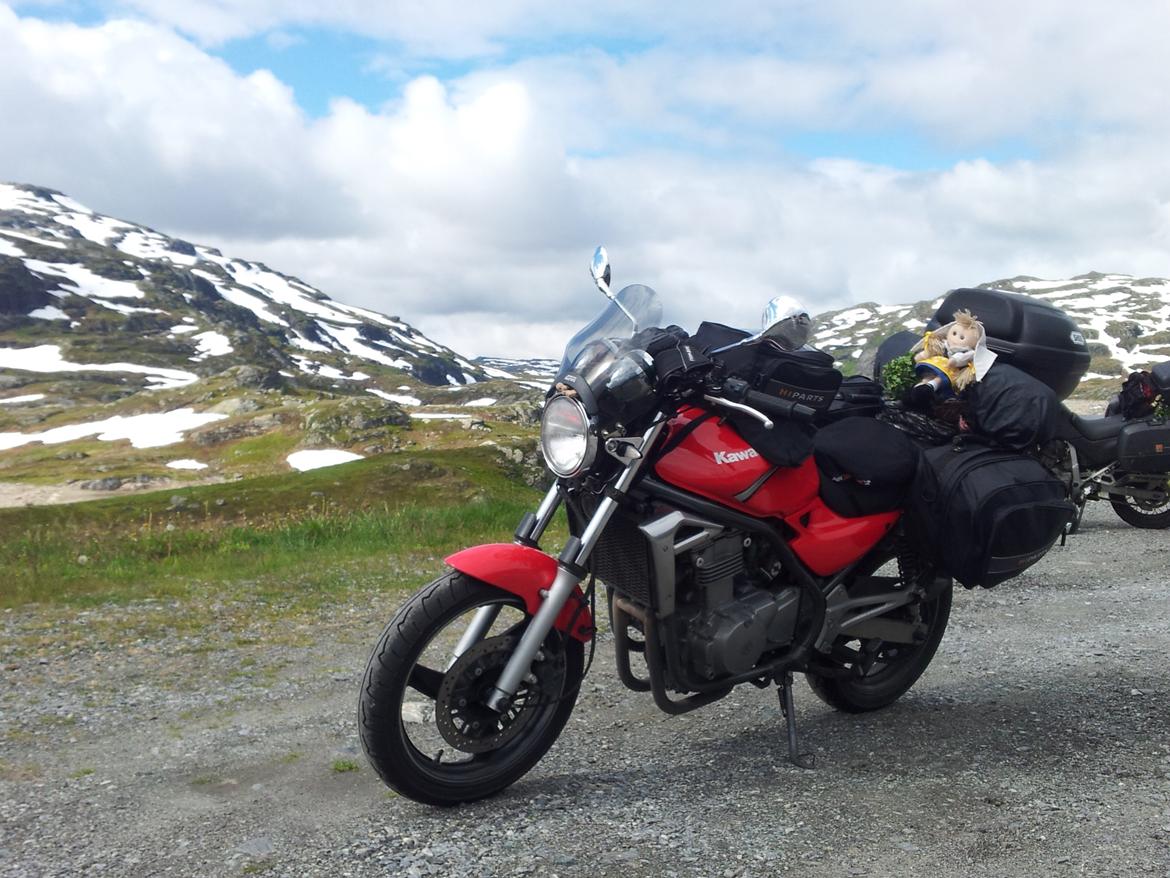 Kawasaki ER-5 billede 22