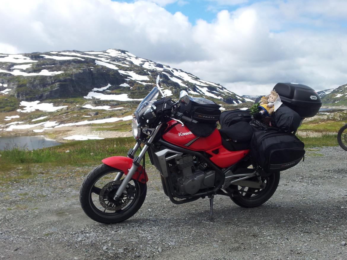 Kawasaki ER-5 billede 23