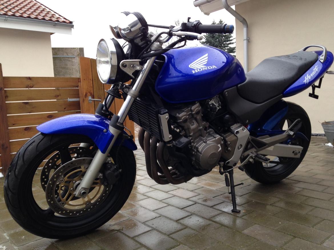 Honda CB 600 F Hornet billede 13