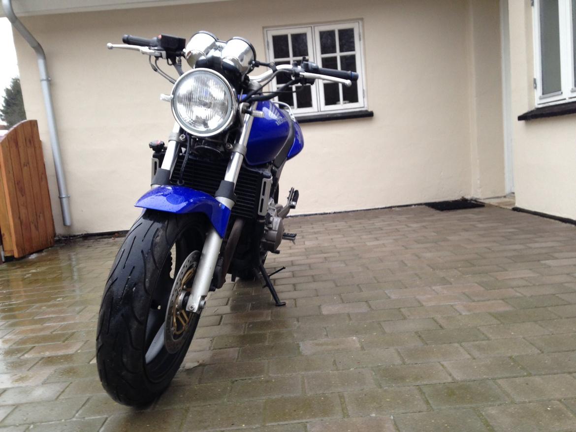 Honda CB 600 F Hornet billede 2