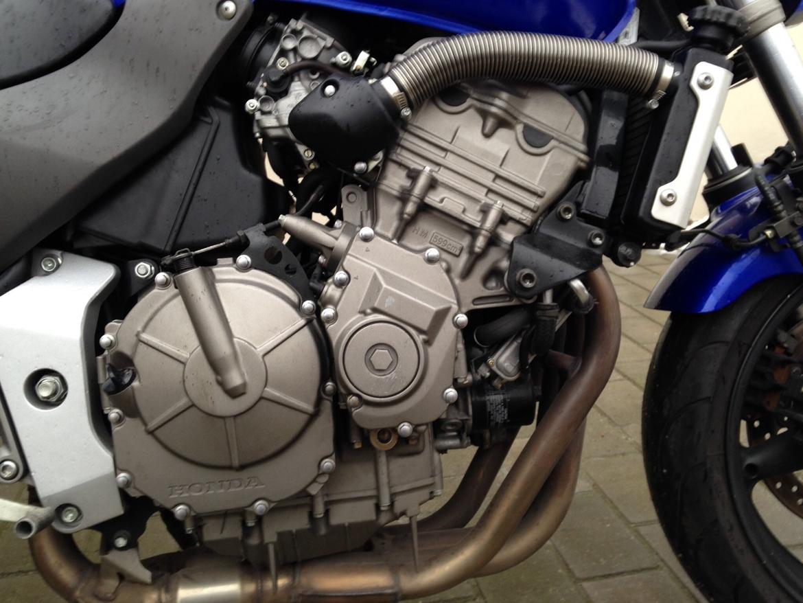 Honda CB 600 F Hornet billede 4