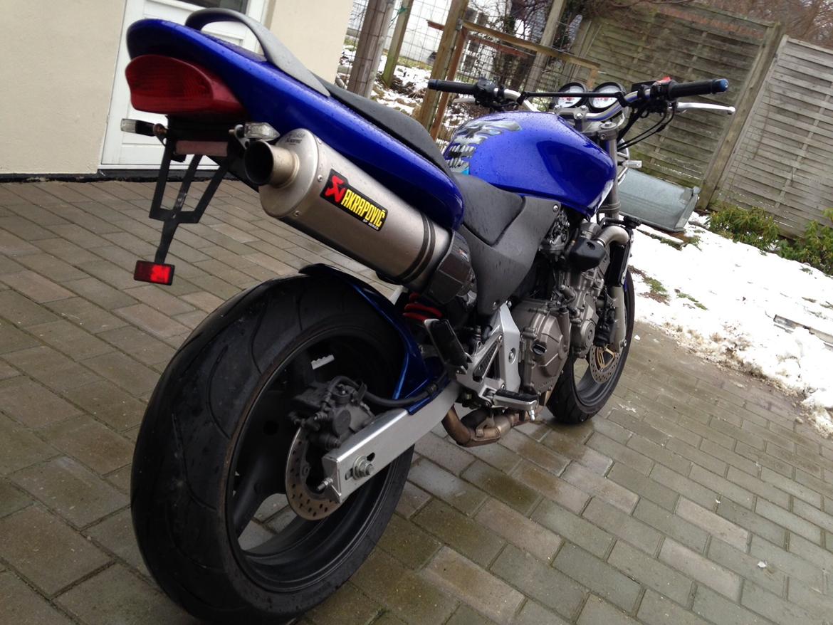 Honda CB 600 F Hornet billede 7