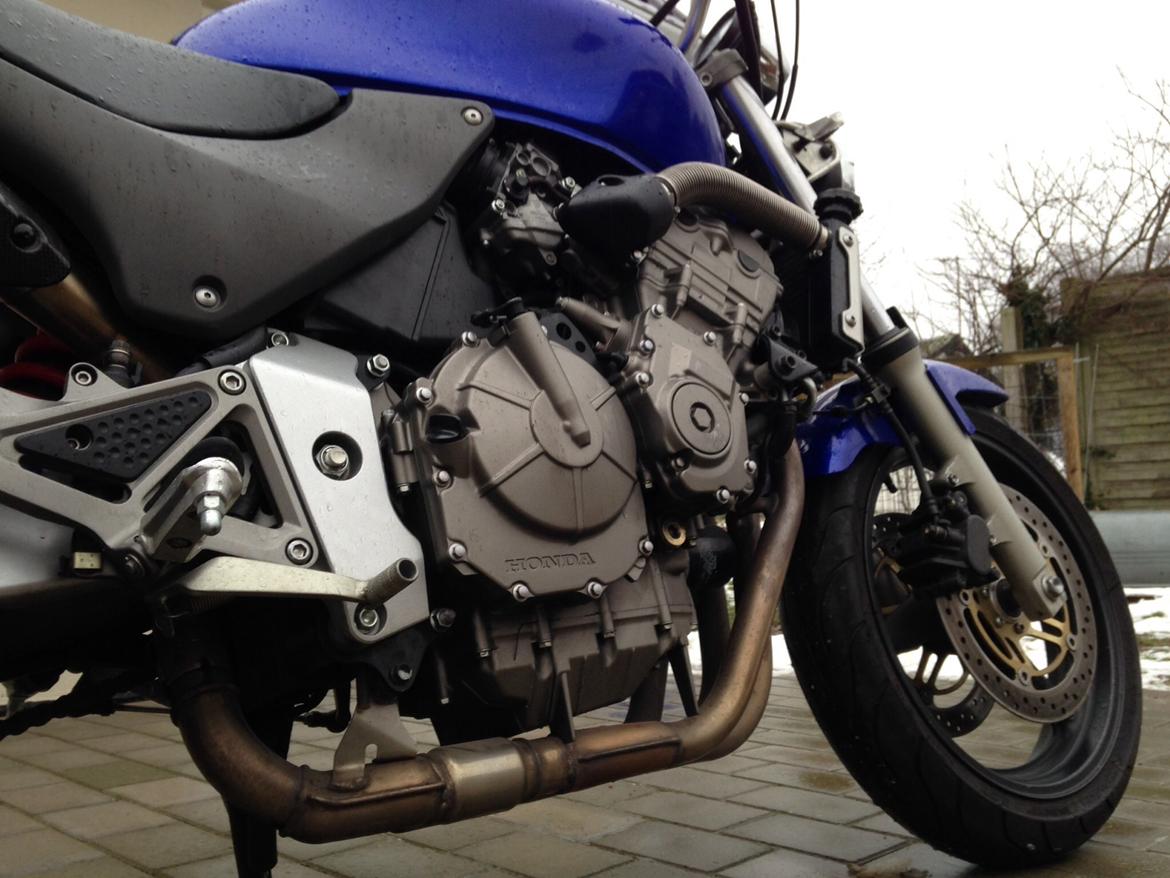 Honda CB 600 F Hornet billede 9