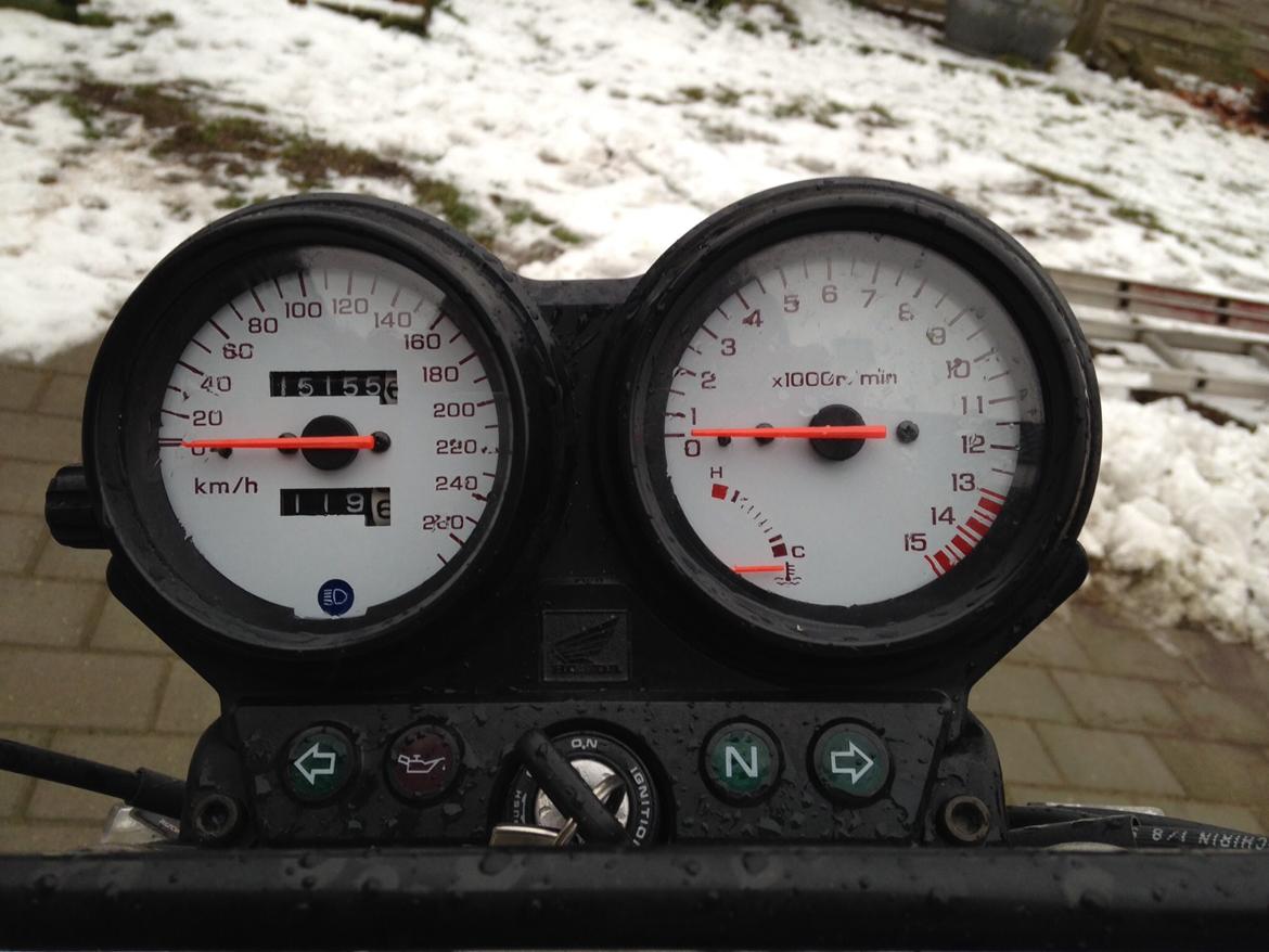 Honda CB 600 F Hornet billede 11