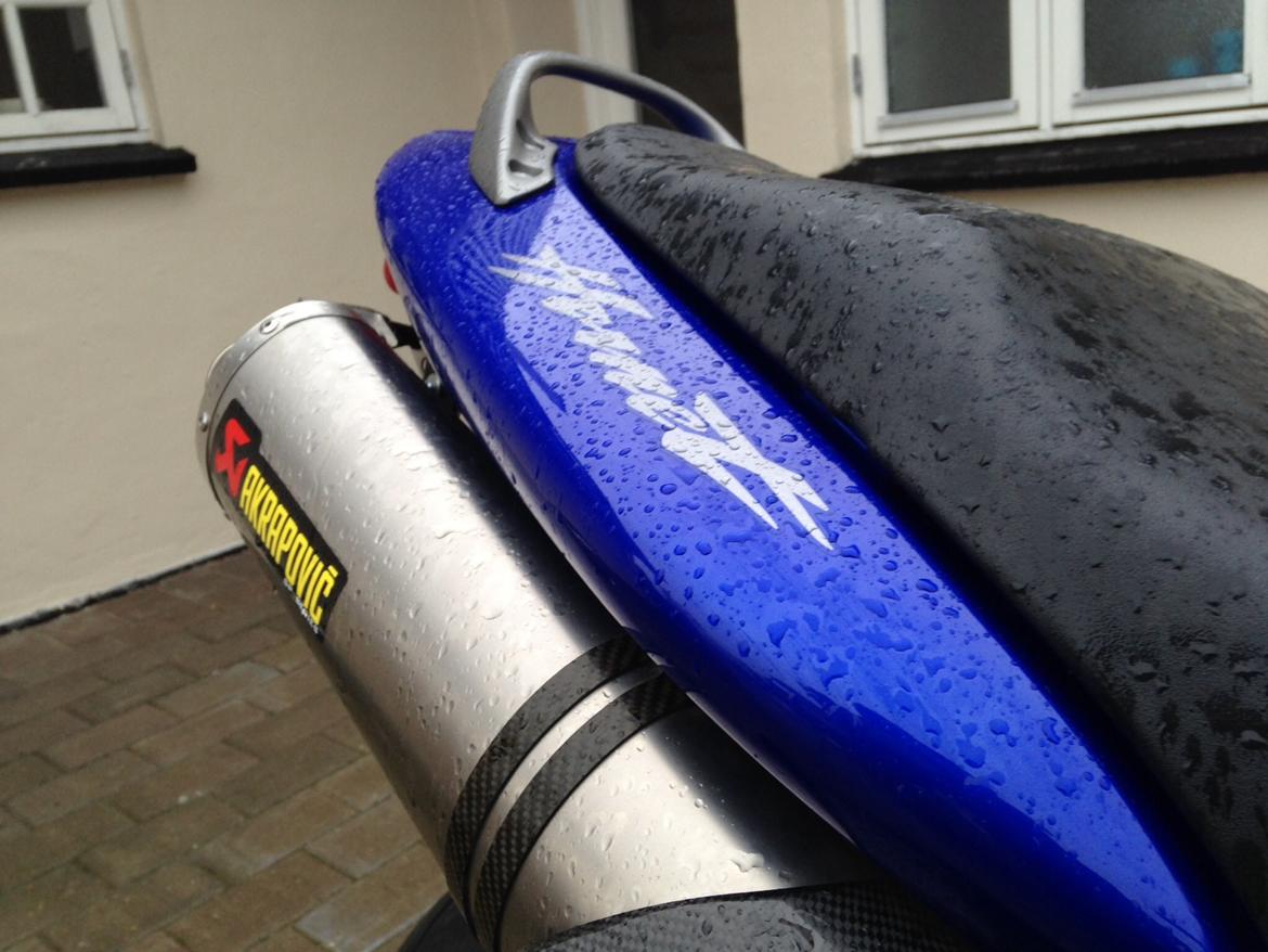 Honda CB 600 F Hornet billede 1