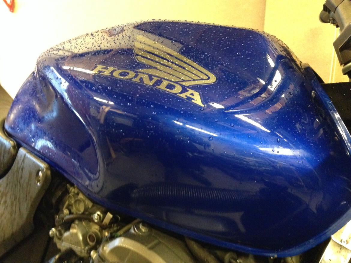 Honda CB 600 F Hornet billede 14