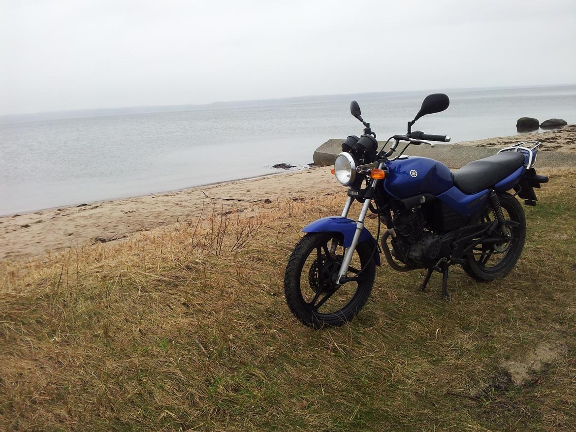 Yamaha YBR 125 billede 22