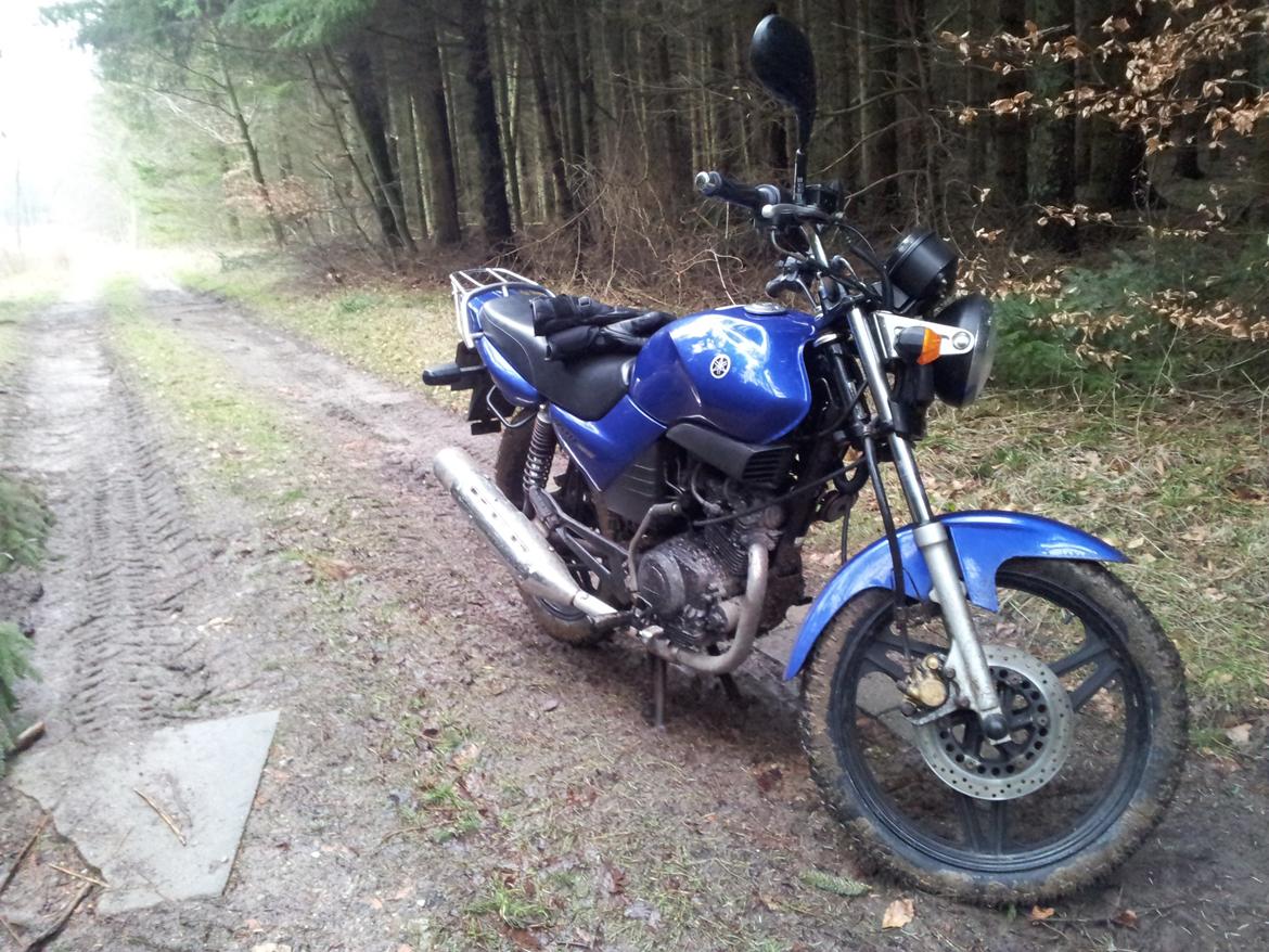 Yamaha YBR 125 billede 9