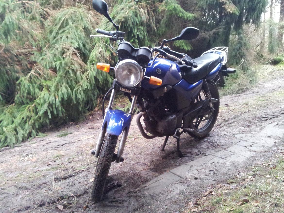 Yamaha YBR 125 billede 12