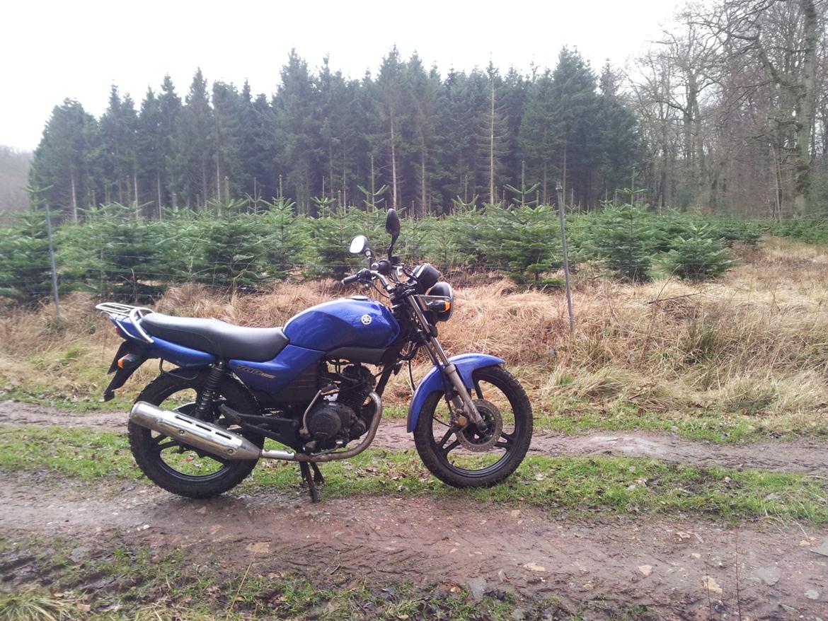 Yamaha YBR 125 billede 28