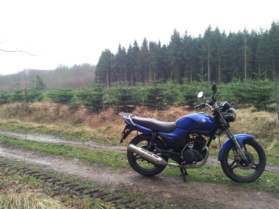 Yamaha YBR 125 billede 29