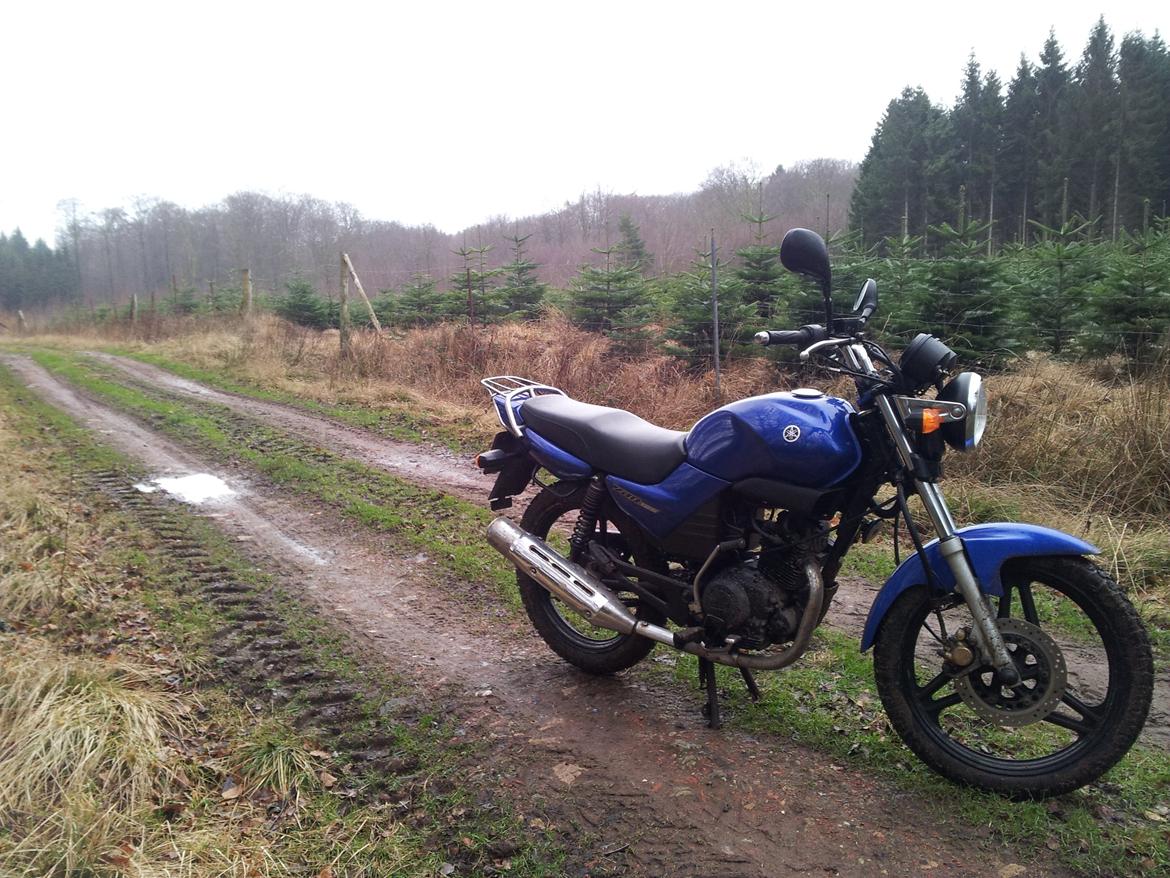 Yamaha YBR 125 billede 30