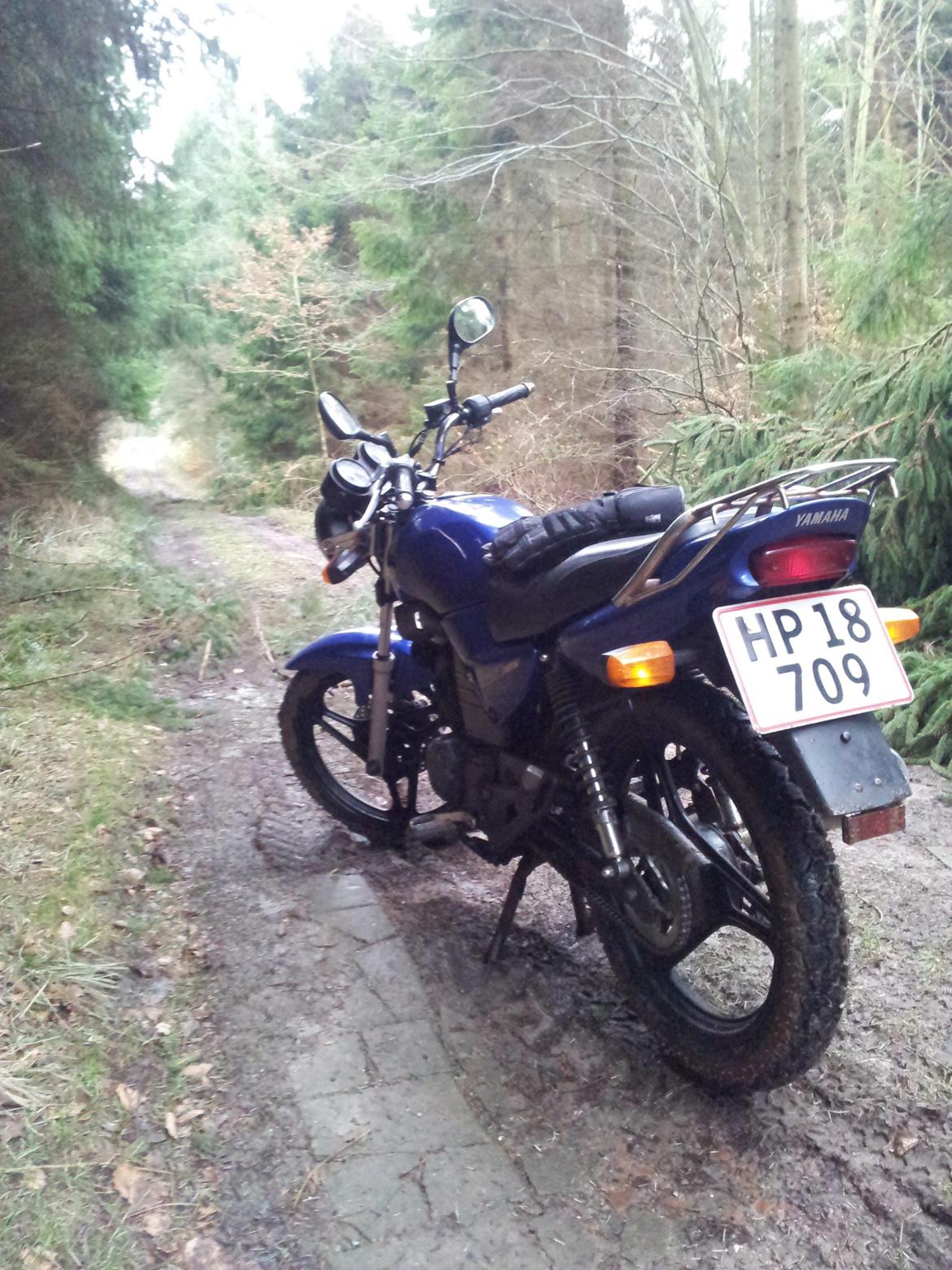 Yamaha YBR 125 billede 11