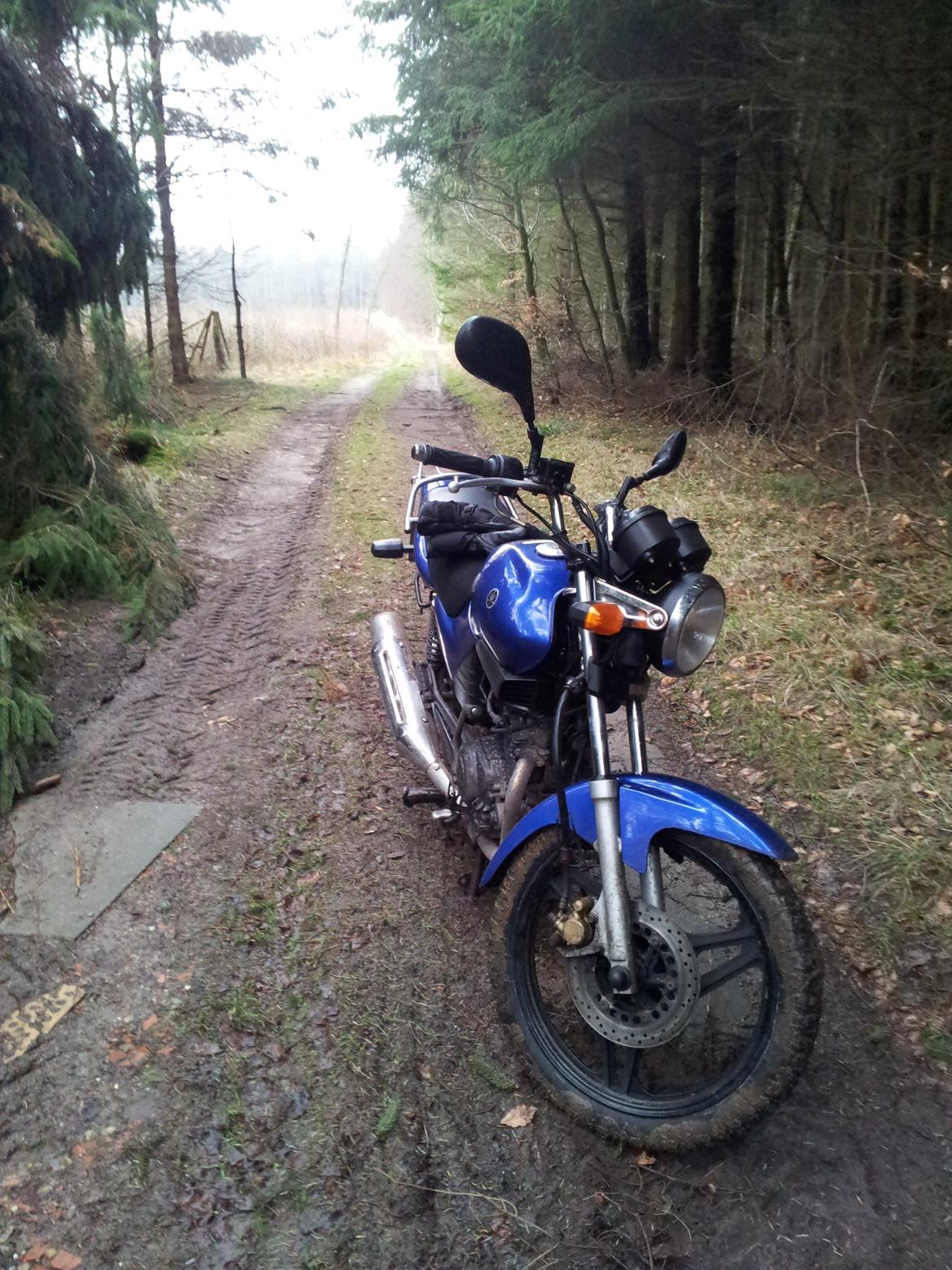 Yamaha YBR 125 billede 13