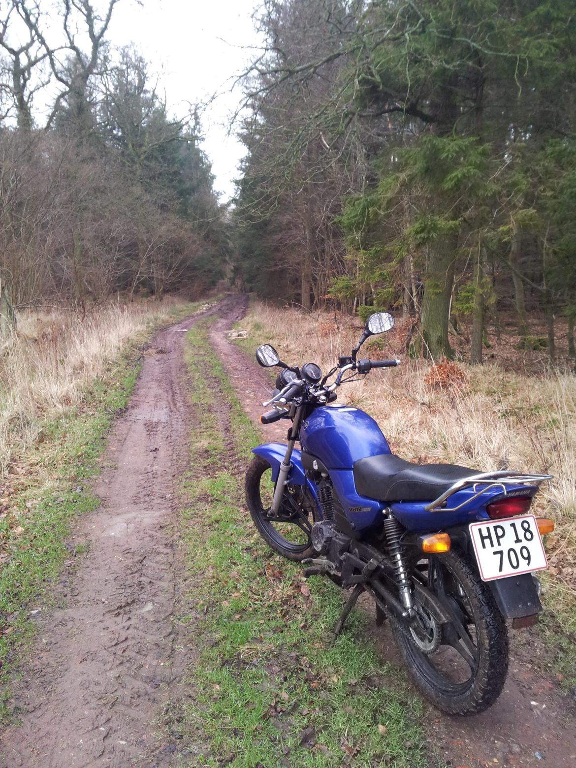 Yamaha YBR 125 billede 31