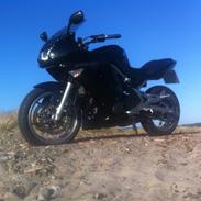 Kawasaki ER-6F (Ninja 650R)
