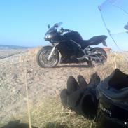 Kawasaki ER-6F (Ninja 650R)