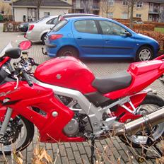 Suzuki sv1000s