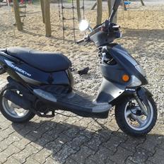 PGO t-rex 110 ccm