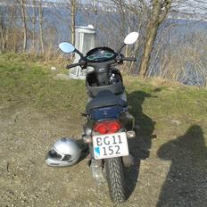 PGO t-rex 110 ccm