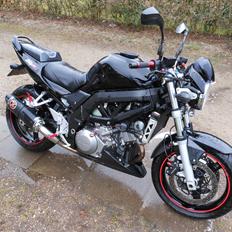 Suzuki SV 1000NK7