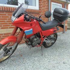 Honda NX 650  Dominator