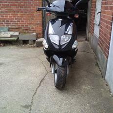 PGO T-REX 110