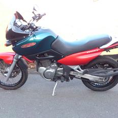 Suzuki XF 650