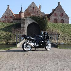 Honda cbr 600 f2 (Solgt)